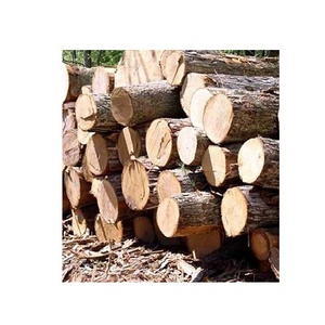 Bûches de bois / Bois de santal / Bois de frêne / Bois d'ébène / Bois de hêtre / Bois de bouleau / Bois de teck / Bûches rondes / Bûches de bois / Bois de santal - Product Image 5