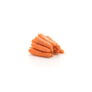 อาหารแครอทสดผักพืชผลใหม่ราคาดีที่สุด