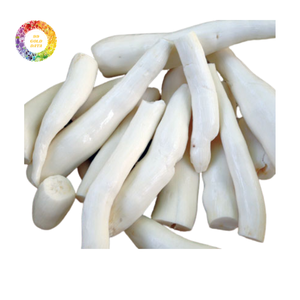 Manioc frais congelé provenant directement des fermes du Vietnam avec des remises en gros disponibles à partir de 99 Gold Data VN - Best Price - Product Image 5