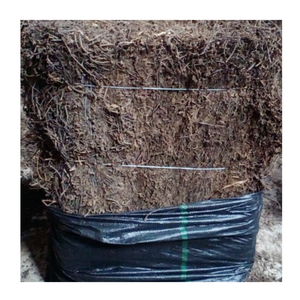 Feuilles de gelée d'herbe noire du Vietnam 100% pures, meilleur prix d'exportation, approvisionnement en vrac disponible - Product Image 2