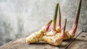 REBANADAS DE GALANGAL CONGELADAS ESPECIAS NATURALES DE CALIDAD PREMIUM A GRANEL SUMINISTRO DE EXPORTACIÓN AL POR MAYOR OFERTA CALIENTE TOP VENTAS PRODUCTO AL MEJOR PRECIO - Product Image 3
