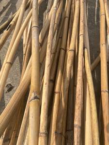 ก้านหวายหวายวัตถุดิบจากเวียดนาม - Product Image 4