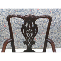Chaise de salle à manger ergonomique Chippendale en bois de mahogany massif, revêtement en velours de haute qualité pour usage intérieur