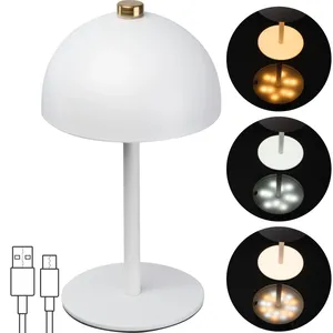 Lampe en acier inoxydable personnalisée CODY, décoration de bureau et accessoires, gadget - Product Image 1