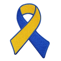 Patchs de sensibilisation au Cancer brodés sur mesure, ruban de sensibilisation à la santé mentale, patchs à repasser