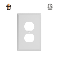 Cubierta de interruptor de pared de PC blanca de tamaño mediano, personalizable, de 1 módulo, con certificación ETL, para estética interior