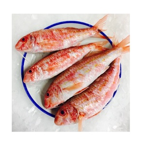 Mullet rouge congelé de haute qualité (produits de la mer) disponible à la vente à bas prix - Product Image 3