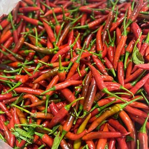 Jinta พริกแดงแช่แข็งผักสดแช่แข็งแช่แข็งทั้งหมดจากเวียดนามราคาไม่แพง - Product Image 5