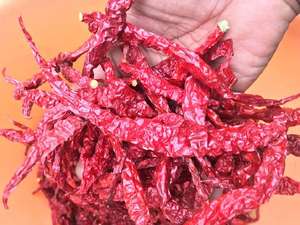 Premium Quality Byadgi <b>red</b> <b>chilli</b> from India - Product Image 3