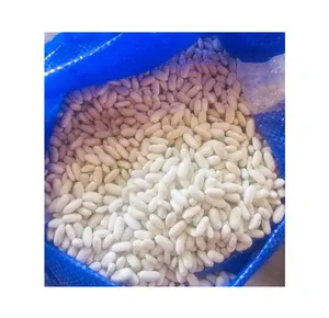 Eksportir produk pertanian dari Mesir kering kualitas Premium jumlah besar kacang merah putih/Kacang Alubia/kacang laut