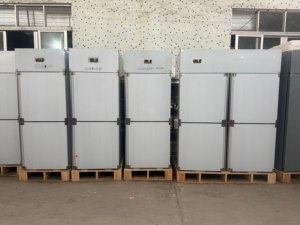 Bán chạy nhất thương mại thép không gỉ thẳng đứng Tủ đông Máy làm lạnh GR-C61A tủ lạnh tủ lạnh - Product Image 4