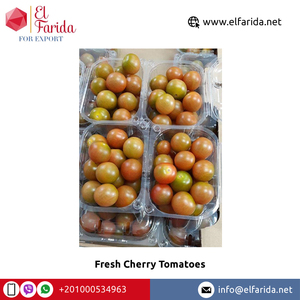 Rau Quả Tươi Sản Phẩm Xuất Khẩu Từ Ai Cập Rau Quả Tươi Cherry Cà Chua Cho Số Lượng Lớn Người Mua Với Giá Cả Hợp Lý - Product Image 4