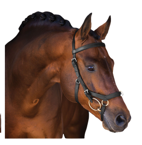 Bridon de compétition standard pour cheval Micklem - Product Image 1