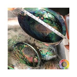 Concha de abulón Natural Premium para suministros de artesanía, concha de mar, regalo hecho a mano, artesanía Natural, concha marina, decoración del hogar, azul - Product Image 5