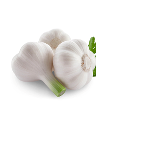 Ail frais de nouvelle récolte avec peau violette, produit de qualité supérieure, origine Thaïlande, 5 cm, 10 kg, durée de conservation de 12 mois - Product Image 1