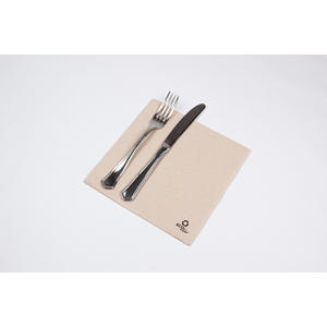 Tovaglioli Eco Nature 40x40cm Point-to-Point, 50 Pezzi, 24 Confezioni, B2B - Product Image 1