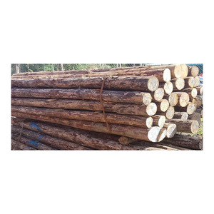 Southern yellow pine <b>logs</b> available in bulk <b>sale</b> <b>for</b> paneling and beams - Product Image 4