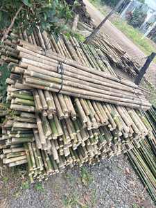 Varas de Bambú Premium para Construcción, Jardinería y Decoración con Calidad Duradera a un Precio Muy Asequible - Product Image 3