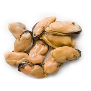 Almejas congeladas de alta calidad al por mayor a bajo precio / Carne de almeja congelada con concha (Mariscos) a granel - Product Image 2
