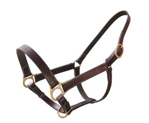 Licou écologique en cuir huileux indien de première qualité FAB avec boucle en laiton massif Taille et couleur personnalisables - Product Image 1