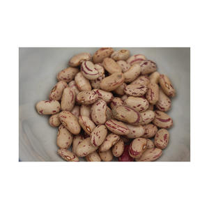 Top quality sugar <b>beans</b> for supermarkets and dry goods vendors - Product Image 2