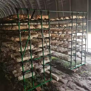Système de culture de champignons multicouche pour l'agriculture verticale intérieure, étagères de culture intérieures pour shiitake, huîtres et reishi - Product Image 6