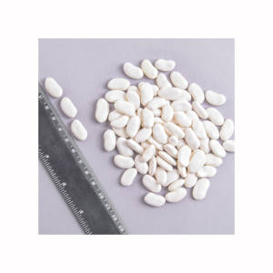 ถั่วไตขาวขนาด25กก. ต้นกำเนิดฝรั่งเศส - Product Image 4