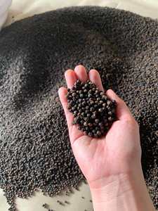 Poivre noir de qualité supérieure nettoyé 500-600G/L nettoyé | Grains entiers séchés | En vrac à l'exportation et prix compétitif pour les importateurs (Joice) - Product Image 4