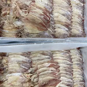 Vietnam exporta calamares secos | MARISCOS FRESCOS | Dulzor natural, alta calidad, precio competitivo