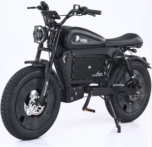 <b>2025</b> New -SS10 Black Warrior 1500W 3000W Industrial Grade OEM Electric Road Bicycle 60AH Lithium <b>Battery</b> High Quality - Product Image 1