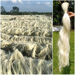 Fibre de sisal pour les produits de sisal et l'utilisation industrielle en gros 100-120cm toutes les qualités de haute qualité 100% du Kenya - Product Image 2