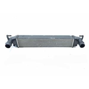 Intercooler FIAT 500 X Serie 51966752 Diesel 1600 (15>) - Product Image 1