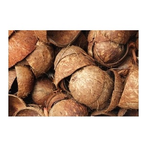 Residuos agrícolas de material de cáscara de coco crudo de alta calidad a la venta al mejor precio - Product Image 2