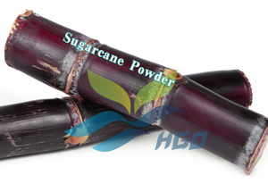 Approvisionnement direct d'usine HGO de poudre de canne à sucre naturelle pure (qualité alimentaire) spécification poudre de fruits (poudre de fruits ou de légumes) - Product Image 6