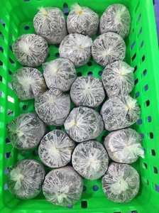 มันฝรั่งหวานแช่แข็งทั้งใบตัดผสมจากผู้ส่งออกเวียดนาม - Product Image 4