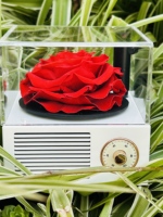 Boîte cadeau en acrylique carrée avec rose éternelle, écran LED et haut-parleur phonographe - Cadeau d'Halloween