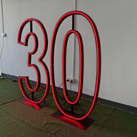 Numéro néon avec cadre noir de 90 cm/3 pieds |   Lumière LED autoportante pour la décoration d'événements modernes