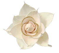 Sola Wood Flower diffuseur de roseau Parfum d'ambiance Fait à la main Sola Flower Echo Friendly Sola Flower Natural to aérer Freshen Reed