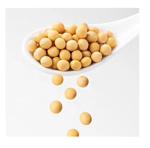 Semillas de Soja Frescas en Venta, Calidad Premium, Disponibles en Pedidos al por Mayor para Venta al por Mayor y Exportación a Todo el Mundo - Product Image 4