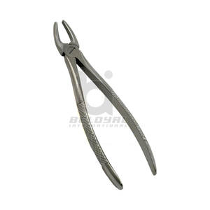 Fórceps de extracción Dental de alta calidad, extracción de dientes anteriores, fórceps de extracción Dental Anterior profesional de acero inoxidable - Product Image 6