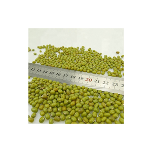 Haricots mungo verts pour les régimes riches en fibres - Product Image 1