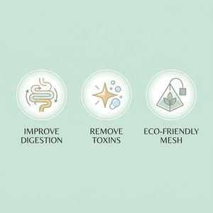 Thé Détox Naturel Saveur Pomme Verte Marque Blanche OEM – Améliore la Digestion, Cure Détox de <span class=keywords><strong>15</strong></span> <span class=keywords><strong>Jours</strong></span>, 14 Sachets Pyramidaux, Thé Herbal Amincissant - Product Image 2