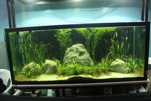 Best Quality 3D Resin Crafts Waterproof Artificial Rocks New Design <b>for</b> Home Mall Outdoor & Aquarium Decorations - Product Image 6