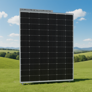 Panel Solar Policristalino ARM de 275W, ARMM6-60P - Product Image 3