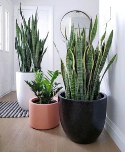 กระถางต้นไม้ไฟเบอร์กลาสปรับแต่งได้หลากหลายขนาดและสีสำหรับตกแต่งสวน - Product Image 1