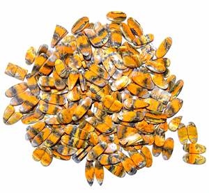 High Quality Bumble <b>Bee</b> Jasper Cabochon Natural Quartz Loose Gemstone Pair for Jewellery Making-India Supplier - Product Image 4