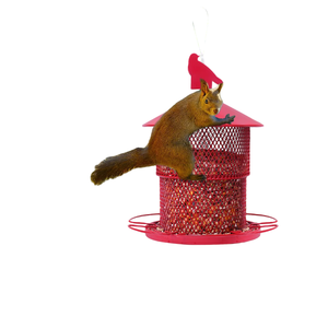 Metal con capa de polvo de Color rojo Alimentador de pájaros terminado Ardilla a prueba de masticación Colgando Comederos de semillas de pájaros salvajes fuera de la casa de pájaros - Product Image 4