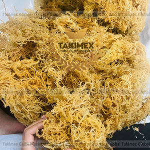 มอสทะเล/สาหร่ายอบแห้ง100% ธรรมชาติตะไคร่น้ำทะเลสีทองจากเวียดนาม - Product Image 1