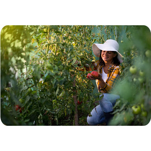 Invernadero de Jardín Grande, Mini Invernadero Agrícola con Cubierta de Plástico PE Simple, 4.5X2X2 - Product Image 5