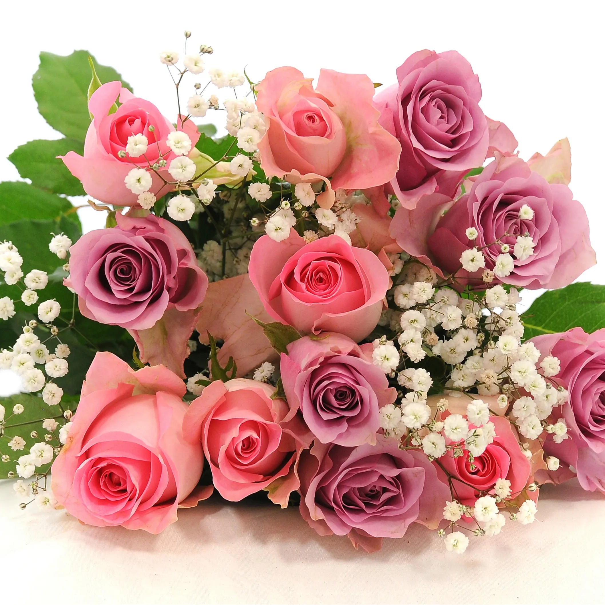 Premium Kenyan Fresh Cut Valentines Day Rose Gypsophila Bouquet 52cm stem wholesale retail fresh cut flower bunch